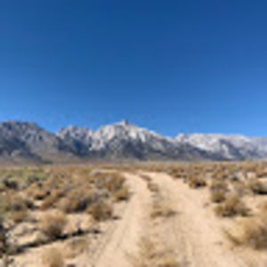 Meet your Posher, Carly